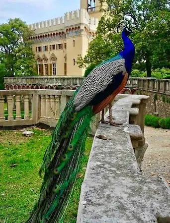 Angolo Di Sole أرنزانو